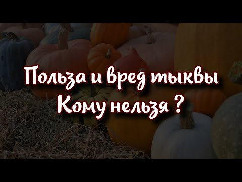 Польза и вред тыквы: кому нельзя употреблять