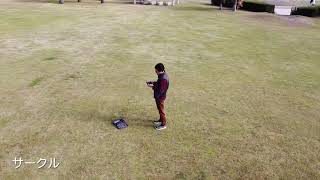 Auto DJI「Mavic Mini」-AV Watch