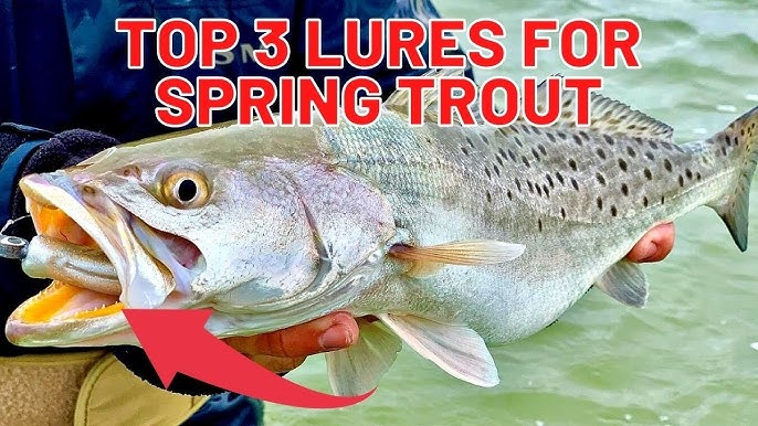 How to Catch Speckled Trout - Top Three Artificial Lures 