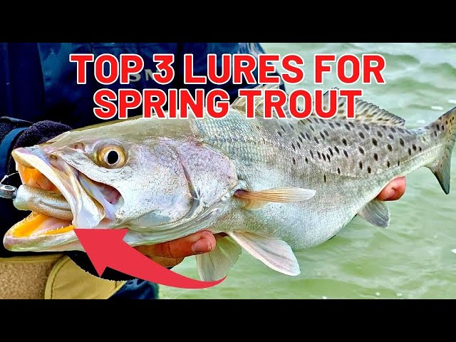 Top 3 Spring Lures For Speckled Trout [Plus A BONUS Secret Lure