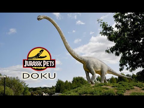 Video: Wie nennt man pflanzenfressende Dinosaurier?