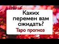 Каких перемен вам ожидать? | Таро Онлайн | Тайна Жрицы |