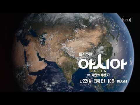 [설 특선다큐 예고] 사막에서 동토까지 거대 대륙의 야생을 보다 ☀️아시아☀️ 7부 자연의 수호자 KBS 1TV
