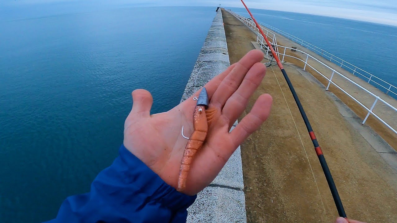 TOO GOOD TO BE TRUE | FISHING THROUGH THE TOUGH TIMES | REALISTIC LURES & BAITFISH IMMITATIONS