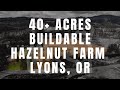 46759 Lyons Mill City | Lyons, OR