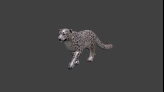 Snow Leopard Walk Animation