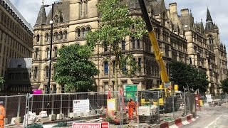 22 new trees planted in St Peter's Square