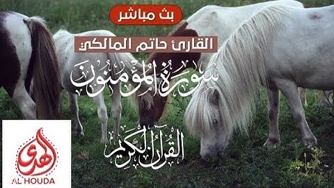 سورة المؤمنون | تلاوة جميلة و رائعة للقارئ حاتم المالكي