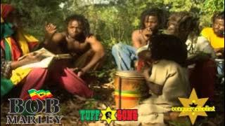 2014 music video Bob Marley 