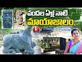 శ్రీ ఛాయా సోమేశ్వరాలయ మ్యూజియం : Nalgonda Chaya Someshwara Temple Museum | Temple Mystery
