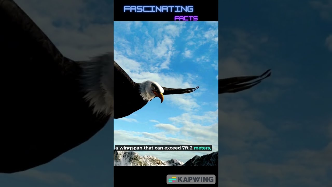 Unique Feature Of Eagle Fascinating Facts