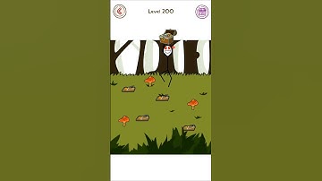 Thief Puzzle level 200