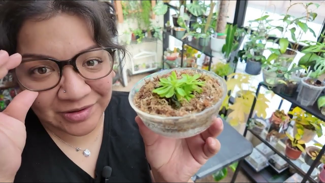 some repotting and a chat, other random stuff!