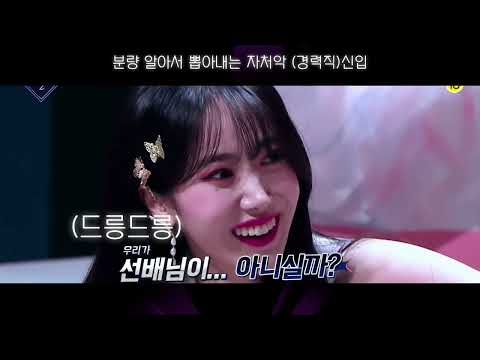 [퀸덤2 비비지] 엠넷잘알 황은비 (feat.경력직신입)