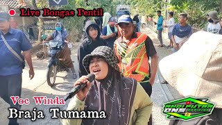 ANDI PUTRA 1 Braja Tumama Voc Winda Live Bongas Pentil Tgl 9 Oktober 2023