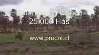 Farms For Sale in Paraguay 25.000 Hectares