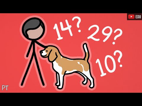 Vídeo: Cat Parents vs Dog Parents: Pesquisa revela diferenças surpreendentes