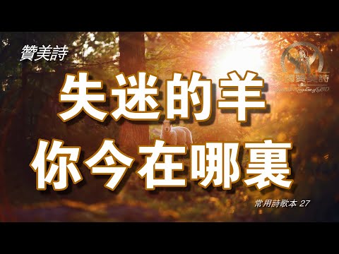 《失迷的羊你今在哪裡》讚美詩 Grace Music 中文字幕《失迷的羊你今在哪里》
