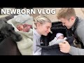 DAY IN THE LIFE WITH A NEWBORN | MEETING OUR DOG | James and Carys