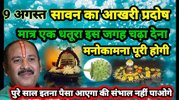 9 अगस्त प्रदोष के उपाय!! बास एक धतूरा इस जगह पर चढ़ा दो!! pt Pradeep Mishra sehore wale