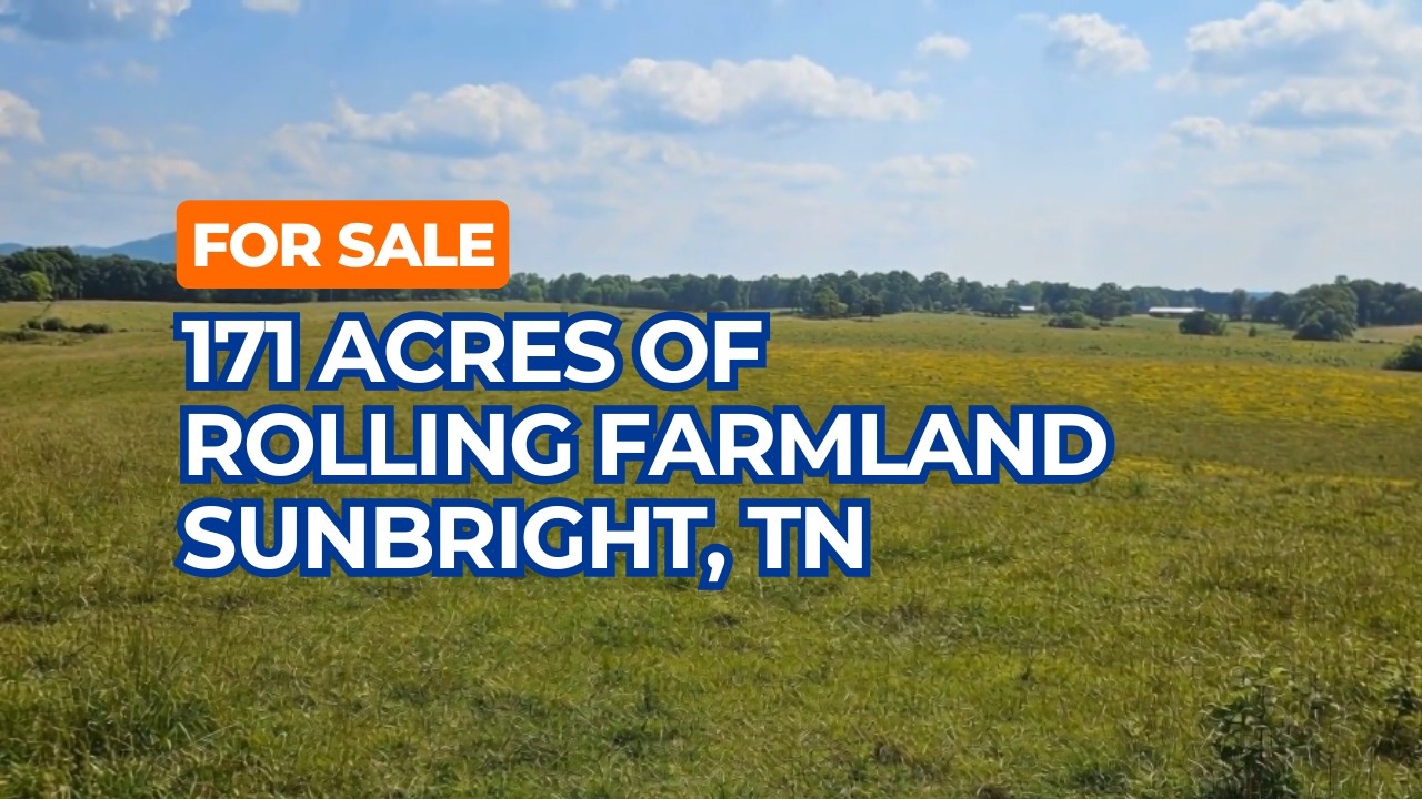 171 Acres of Rolling Farmland with Mountain Views 10 Minutes from Sunbright Tennessee