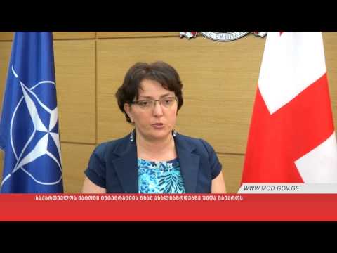 საქართველოს ნატოში ინტეგრაციის გზამ ახალგაზრდებზე უნდა გაიაროს