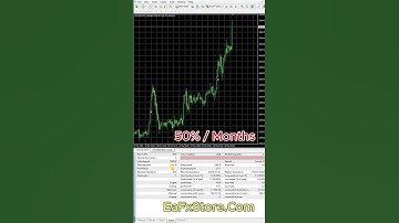 AI Gen XII MT4 Review | FX STORE EA #forex #backtestea