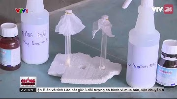 Thực nghiệm khả năng diệt muỗi của chế phẩm diệt muỗi giả - Tin Tức VTV24