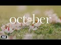 October  world of october  varun dhawan  banita sandhu  shoojit sircar