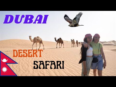 Dubai Desert 2023 || Crazy Desert Adventure || Vlog 7