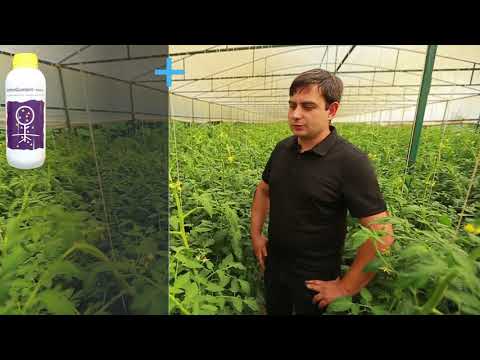 სადემონსტრაციო ნაკვეთი,შეხვედრა სათბურში,22,06,2019