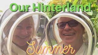 OUR HINTERLAND SUMMER I Sunshine Coast Hinterland Queensland, Australia Travel Vlog 148, 2023
