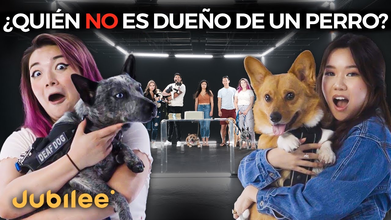 6 Dueños de Perros VS 1 Falso | El Impostor