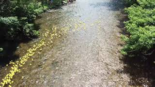 Rubber Ducks in Downingtown PA - Drone Video!