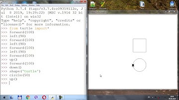 Черепашача графіка