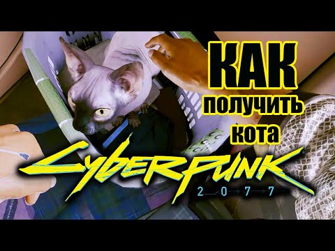 Cyberpunk 2077 \\ Киберпанк 2077 - Как получить кота?