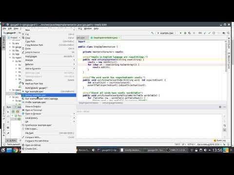 Gauge - ThoughtWorks  - IntelliJ Feature