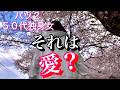 婚活その後
