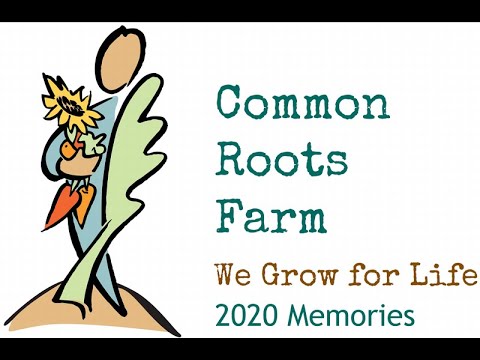 Common Roots Farm 2020 Memories - YouTube
