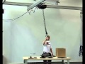 MechChain Ergo Auto Balance Chain Hoist