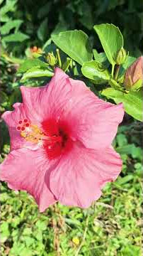 nadaanan ko lang ang gandaaa