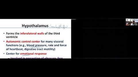 Human Anatomy and Physiology, Chapter 12: The Central Nervous System_ Part 2