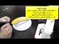 قطاع عرضي في ساق نبات ذو فلقة واحد 4