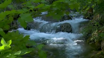 آيات من سورة الأحقاف || القارئ هشام الهراز