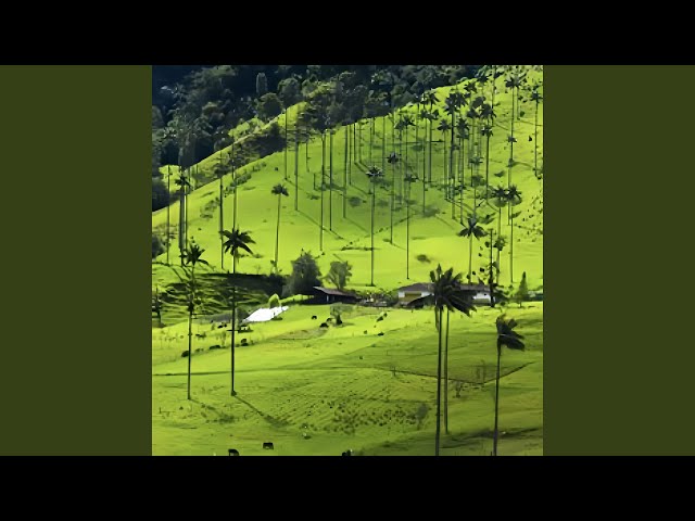 Valley Echoes