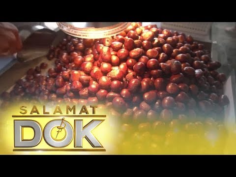 Video: Mga Benepisyo ng Horse Chestnut – Paggamit ng Horse Chestnut Trees At Conkers