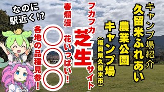 【キャンプ場紹介】福岡県久留米ふれあい農業公園キャンプ場　芝生、駅近、耳納連山の麓で利用出来るキャンプ場