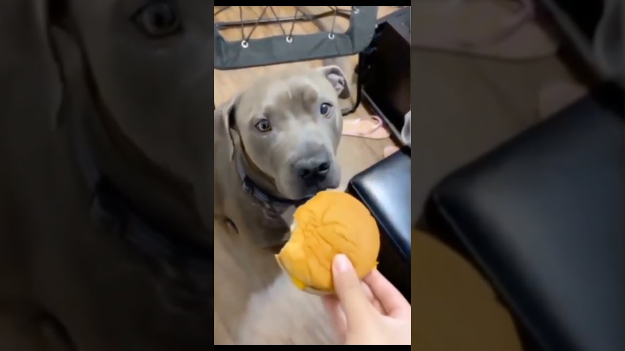 You Can Take A Small Bite