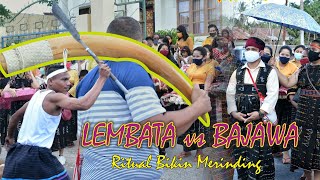 peminangan (full) Kolaborasi adat Lamaholot feat Bajawa