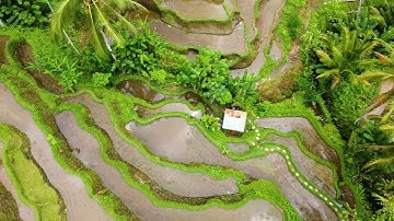 yahya sodki سورة هود و أخواتها - يحيى صدقي
